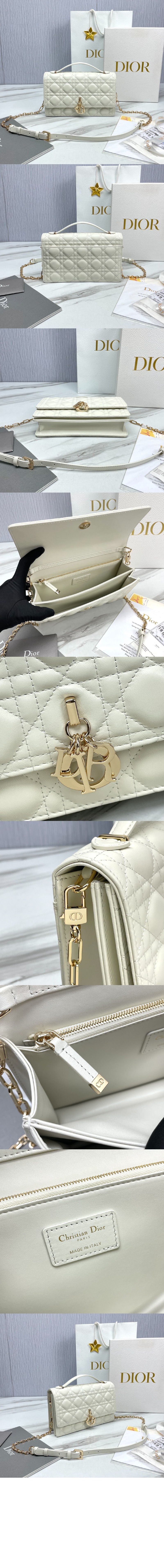 bag8029-4.jpg