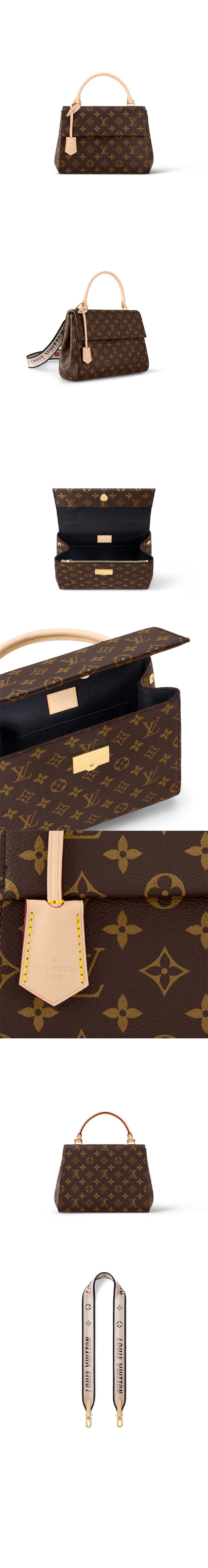 bag13174-4.jpg